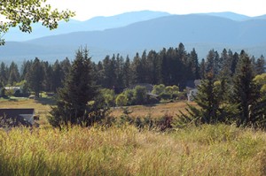 Cranbrook is ringed by Crown land forest and large  rural properties, such as in Gold Creek.