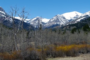 Looking toward Blackiston Valley along Waterton's Red Rock Canyon Road. Ian Cobb/e-KNOW