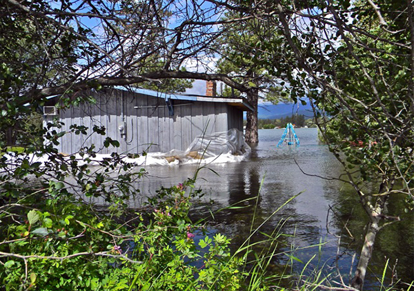 Familiar images - could be from June 2012- but sadly were taken June 25, 2013, by Krista Nebloch