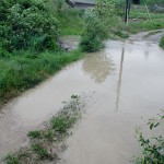 Water percolates from road bank beside the Toby Creek Bridge in Athalmer.