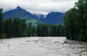 Debris-strewn Elk River June 21. Ian Cobb/e-KNOW