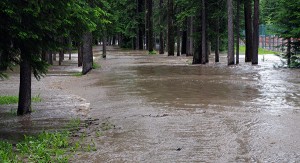 Flooding in James White Park, Fernie, June 21, 2013. e-KNOW file photo