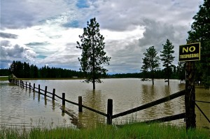 Flooding at Wasa in late June. Photo courtesy Krista Nebloch