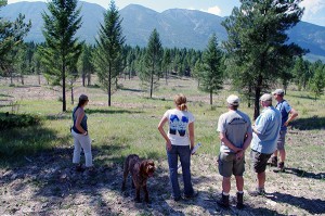 KCP and NCC representatives tour the most recently thinned stand of forest on Thunder Hill Ranch August 13.