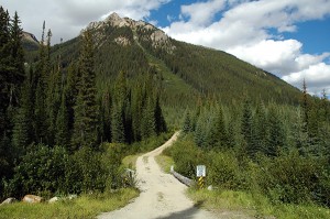 In the 'heart' of the Jumbo Glacier Resort village ... Ian Cobb/e-KNOW