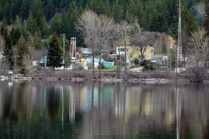 Moyie