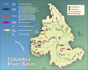 Columbia Salmon Map