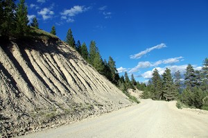 Findlay Forest Service Road