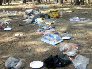 Lead image: City of Cranbrook Councillor Bob Whetham amd wife Gretchen joined about 20 other people in a cleanup of the Sandpits, north of Koocanusa Marina May 20, organized by RDEK Electoral Area B Director Health Slee. This image, taken by Slee, shows a tiny portion of the mess left at the site following the weekend. Lead image: Ian Cobb/e-KNOW