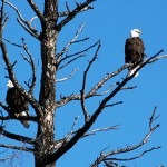 WHF protection order to cover all B.C.