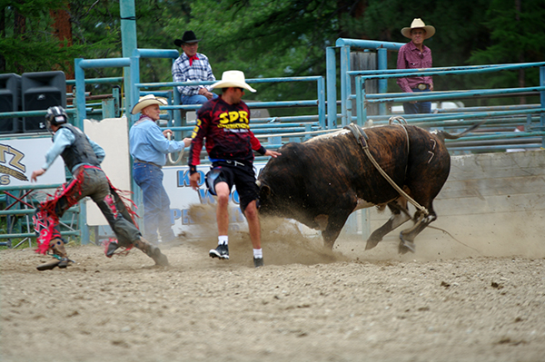 Rodeo Action And A Trip To Disneyland Cranbrook