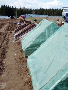 Cold frames to protect the fall harvest in Fort Steele.