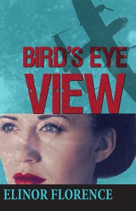 Bird'sEyeView Cover