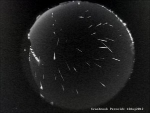 RN Perseids