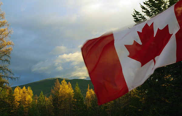 Image result for canadian flag