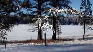 McGinty Lake. Photo courtesy Bob Johnstone