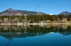 Lake Windermere fishing