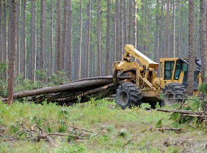 Logging