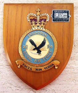 10. Squadron 20 crest