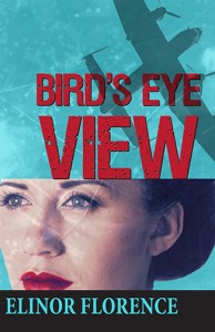 Bird's Eye View COVER IMAGE