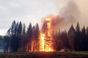 RDEK Baynes Lake area fire