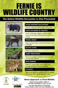 wildlife trailhead poster