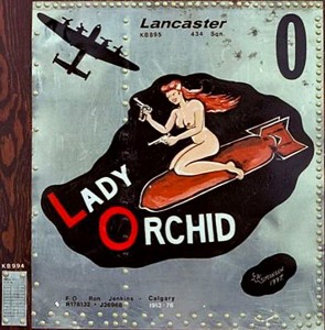 4. Topless Lady Orchid