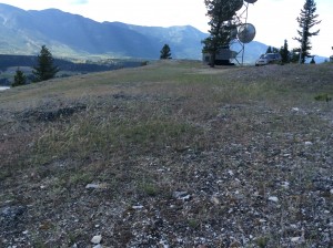 Native grassland restoration following treatment of invasive species at Columbia Lake tower.