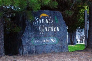 Sonjas Garden