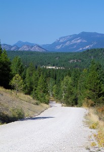 The Torrent Road (down) area, west of Skookumchuck.