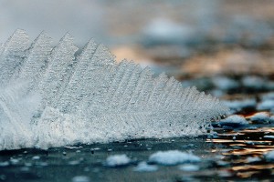 When the ice freezes like this - covered in hoar frost instead of snow, it's a beautiful thing! Photo courtesy Alex Kosztinka