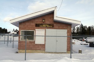 Sparwood Animal Control