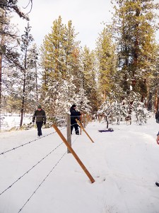 McGinty Lake Fencing