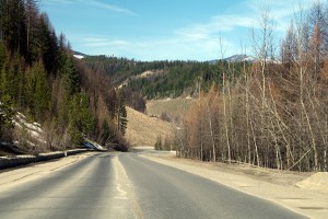 Gerry Sorensen Way