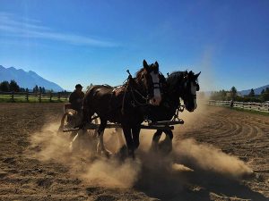 Images courtesy Fort Steele Heritage Town