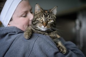 Jenny is a Beautiful young cat. She is a little shy and takes a while to get used to new situations. She likes to have hiding areas to feel safe. Jenny is a very loving girl. She loves to play and explore.