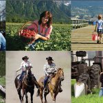 Help build a rural development strategy for B.C.