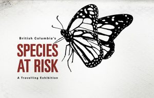 species at risk