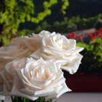Obituary of Sandra Michelle Matthews