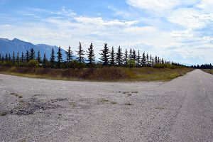 Northwest end of property along the old highway.(Nowell Berg photo)