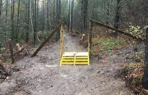 Custom fabricated cattle guard on the Branch H to Cokato trail section