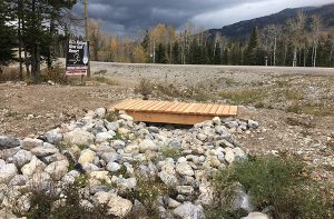 Near the Whiskey Jack development in Sparwood.