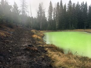 New trail adjacent to Sulphur Springs.