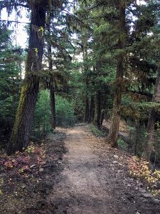 Trail section near Round Prairie.