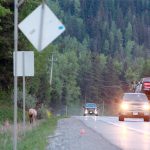 Elk Valley community cares about wildlife