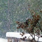 Snowfall warning for Elk Valley, KNP