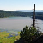 Water pollution issues remain in Elk Valley: Wildsight
