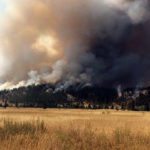 Trust delivers wildfire mitigation grants