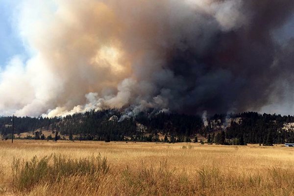 Trust delivers wildfire mitigation grants