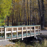 Fernie Council Connection